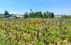 0.05 ha Residential Land at Kamangu - 1