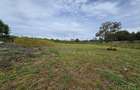 0.7 ac Residential Land in Runda - 4