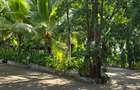 3 Bed Villa with En Suite at Mtwapa - 5