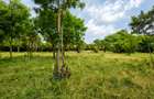 22 ac Land at Kondutsi - 2