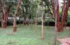 3 Bed House with En Suite in Karen - 2