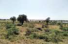 7 ac Commercial Land in Isinya - 1