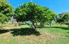3 Bed Villa with En Suite at Mtwapa - 17