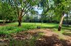 2 Bed House with Garden in Kileleshwa - 2