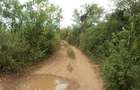 Land in Kwale County - 6