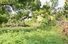 Land at Diani Beach Road - 15