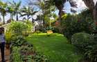 Land in Thigiri - 3