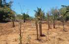 Land at Near Munarani - 4