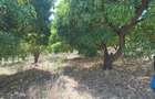 0.045 ha Land in Murang'a County - 7