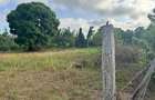 30 ac Land at Kikambala Bomani - 15