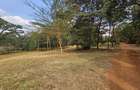 Land in Runda - 4