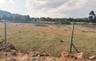 0.226 ac Land at Thigio - 13