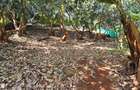 4 Bed House with En Suite at Loresho Loresho - 5