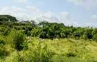 Land at Shanzu - 10