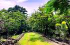 4 Bed House with En Suite at Kuruwitu Beach - 5