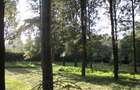 0.10 ha Land at Magadi Road - 6