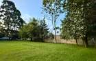 0.5 ac Land at Limuru A104/B3 - 5