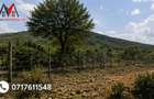 0.125 ac Land at Ilngarooj - 3
