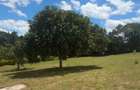 1 ac Residential Land in Karen - 4