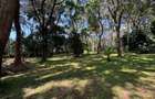 1 ac Land in Karen - 11