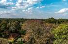 4 Bed Apartment with En Suite at Off Peponi Rd - 8