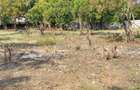 Land in Watamu - 12