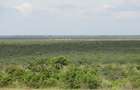 563 ac Land at Mutara - 1