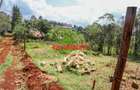 0.075 ha Commercial Land at Gitaru - 2