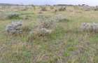 Land in Konza City - 9