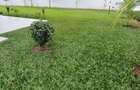 5 Bed Townhouse with En Suite at Runda - 5