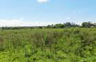 Land at Vipingo - 9