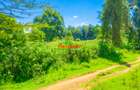 0.2 ha Commercial Land in Ndeiya - 9
