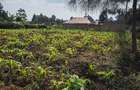 Land at Limuru Road - 7