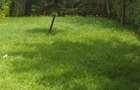 3 Bed Townhouse with En Suite in Kiambu Road - 3
