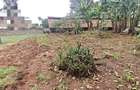 0.5 ac Land in Thome - 3
