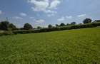 4 Bed House with En Suite in Tigoni - 3