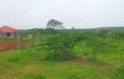 21 ac Land at Mavueni Mariakani Northern By - Pass Road - 4