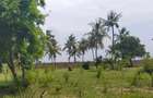 2.7 ac Land at Kikambala Beach - 8