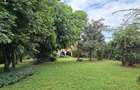4 Bed House with En Suite at Loresho Shinyalu Road - 11