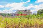0.05 ha Residential Land at Lusigetti - 4