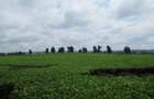 Land at Kiambu Rd - 6