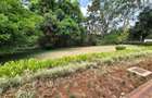 6 Bed House with En Suite in Loresho - 12