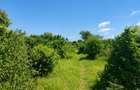 Commercial Land in Malindi - 5