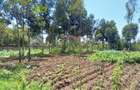 5 ac Land in Naivasha - 3