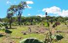 Land at Msambweni - 3