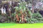 4.1 ac Land in Rosslyn - 7