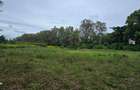 2 ac Land at Animo - 9