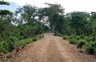 0.0405 ha Residential Land at Galu Beach Diani Beach Road - 8