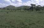 Land in Naivasha - 11