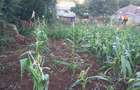 0.0113 ac Residential Land in Ngong - 12